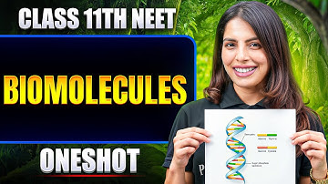 Biomolecules in ONE SHOT | All Concept & PYQ | Basics to Advanced | Class 11 NEET