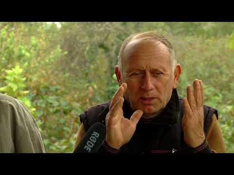 ინფორმაციის ნაკლებობა ზუგდიდში 04 11 17