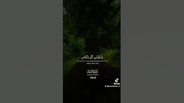 سوره النمل #ذكر_الله $#اسلاميات #لااله_الا_الله_محمد_رسول_الله #القرآن_الكريم