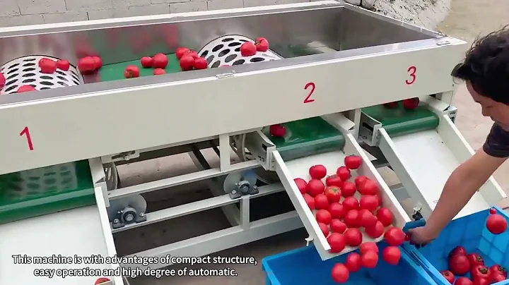 Fruit sorting machine for apple orange tomato, potato and mango. Round Fruit Sorting Machine