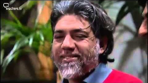 Teachers TV: Secondary Citizenship - Letters to Death Row