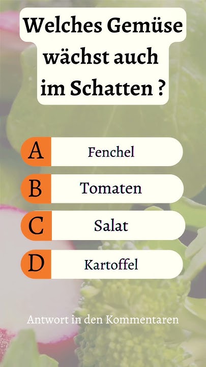 Gemüse Quiz, welches Gemüse wächst im Schatten? YouTube