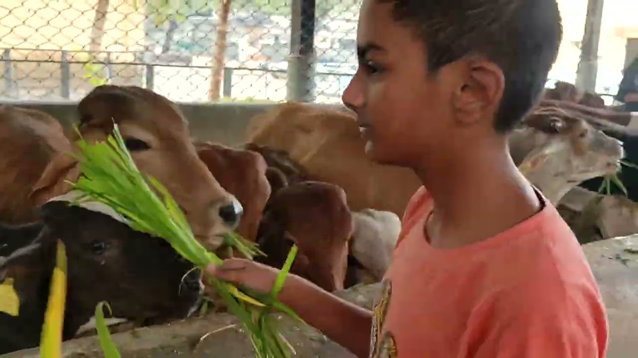 Gaushaala 2026 1st day