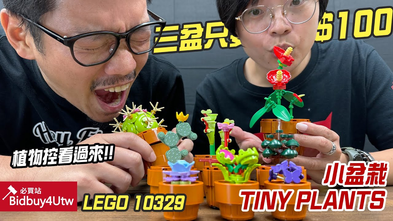 虎哥來開箱] 三盆$100會賠錢的小盆栽Tiny Plants - YouTube