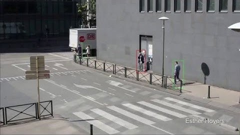 Can you identify the 