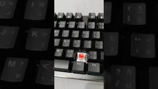 the best 40$ keyboard the nubwo 30x