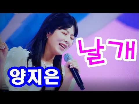 양지은노래 '날개'