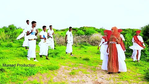 DHAANTO CUSUB- DAB LEYGU SHID --NUUR GOOSAAR IYO I...