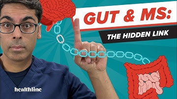 The Surprising Connection Between Gut Health and Multiple Sclerosis!