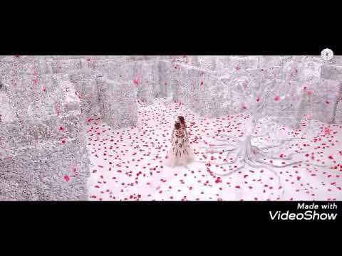 سبعة مليار أنور الأمير   