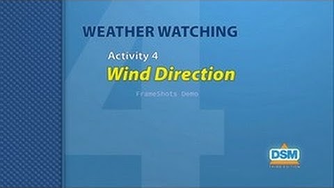 Weather Watching - Activity 4: Wind Direction
