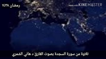 مما تيسر من سورة السجدة بصوت القارئ د هاني الشمري