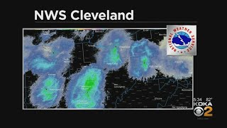 Swarms Of Dragonflies Invade Western Pa., Even Show Up On Weather Radar