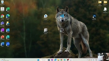 Activity 1 - Video tutorial of VMware installation