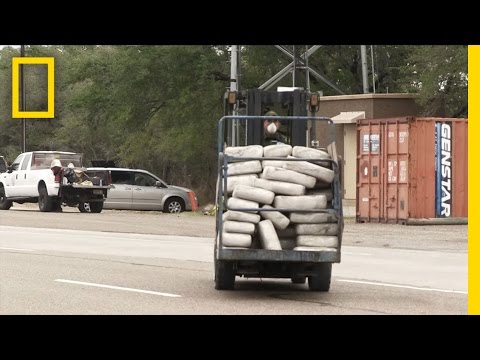 HAZMAT Weed Bust | National Geographic