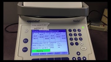Eppendorf Mastercycler Gradient Nexus Pcr 6331 Flexlid
