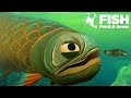 GIANT Swamp Fish EATS ALL!!! - Fish Feed Grow