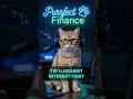 Purrfect Finance - Digging out of Debt