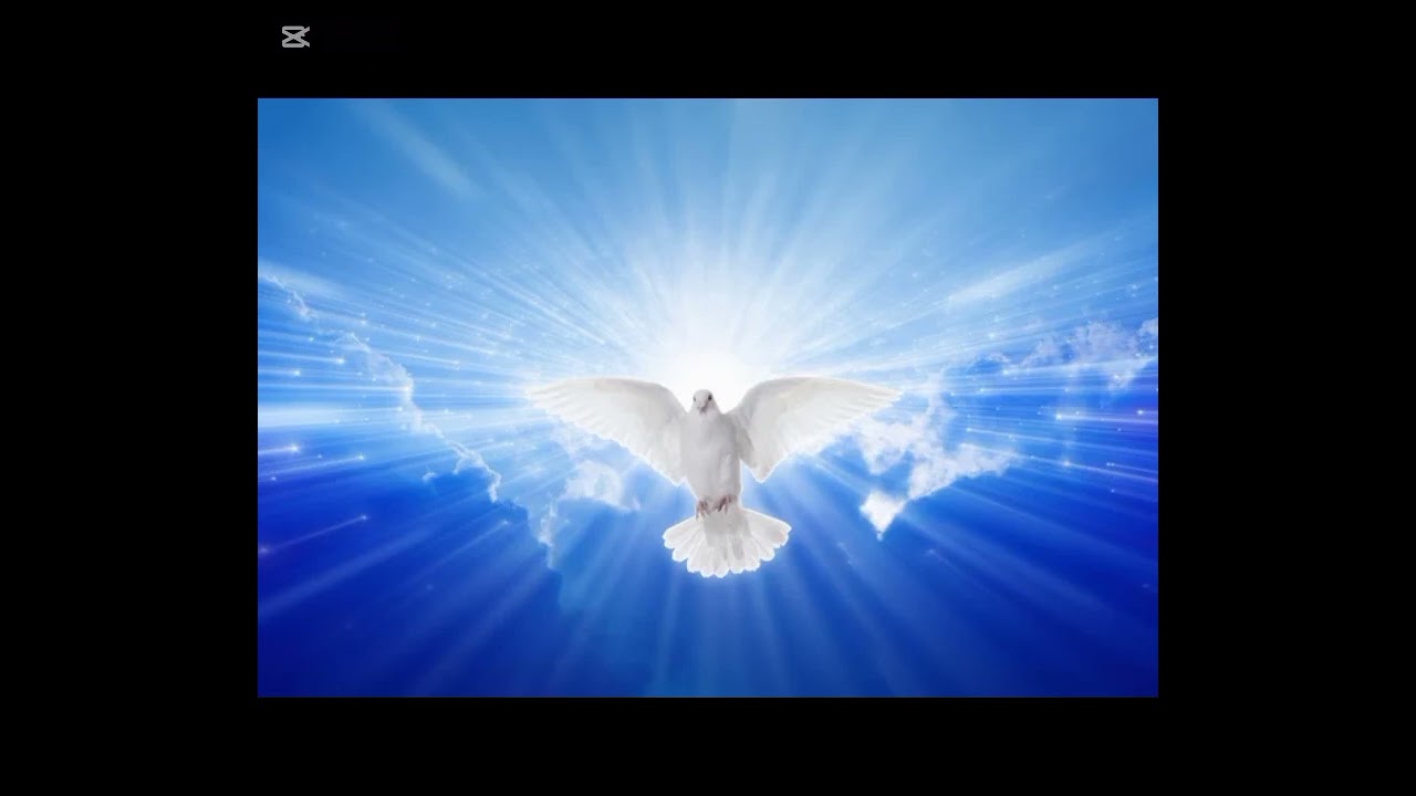 La lumière zodan jesu vio