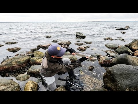 Video: De 6 bästa fiskeapparna 2022