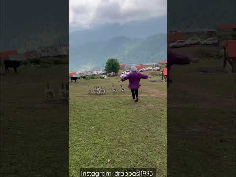 اولسبلانگاه شمال ایران