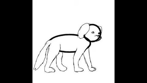 Quadruped Walk Cycle 2D