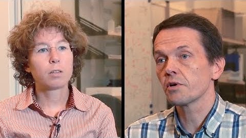 Research Presentation: Quantum Gravity and Black Hole Physics Research at Nordita