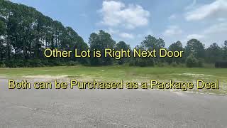 2 Commercial Lots for Sale on Old Nassauville Rd