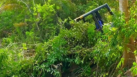 CAT D5K XL Bulldozer Operator Expertise in Dealing with Entangled Tree Trunk Traps