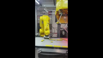 Pack Expo 2023  - Video Compilation of Precision Automation Booth Systems