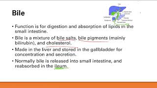 Bile  | GI system | Step 1 Simplified