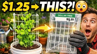 10 Things You Should Be Buying at Dollar Tree In April 2026🤩🔥