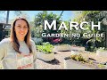 March garden guide the ultimate guide to florida gardening