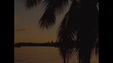 حوار بين نوح وابنه 😢 بصوت سعد الغامدي حالات واتس اب دينية سورة هود وقال اركبوا فيها بسم الله...