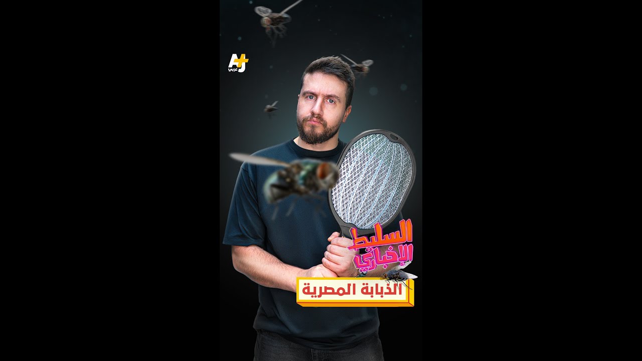 الذبابة المصرية
