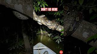 The Amazon Never Felt Safe... 🌿 #Shorts #Ytshorts #Amazon