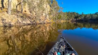 Eldorado Top Cut: Kayak Fishing For Redfin (Perch) screenshot 4