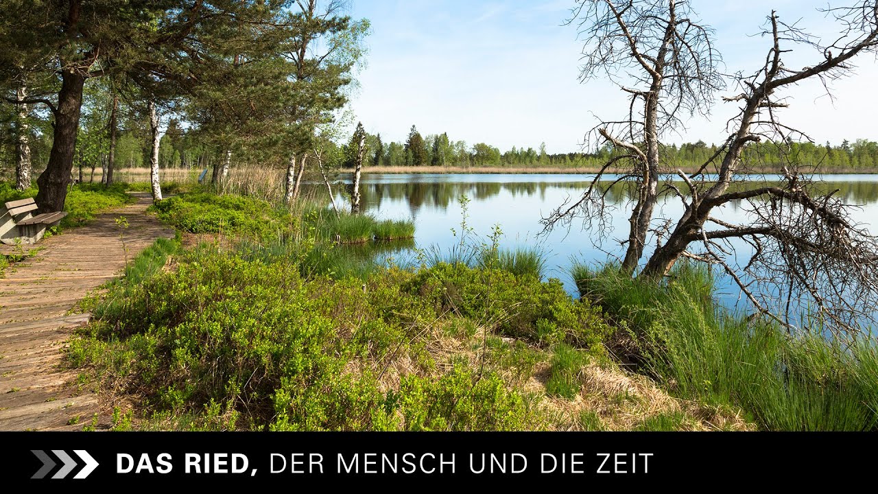 DAS RIED, DER MENSCH UND DIE ZEIT (2000)