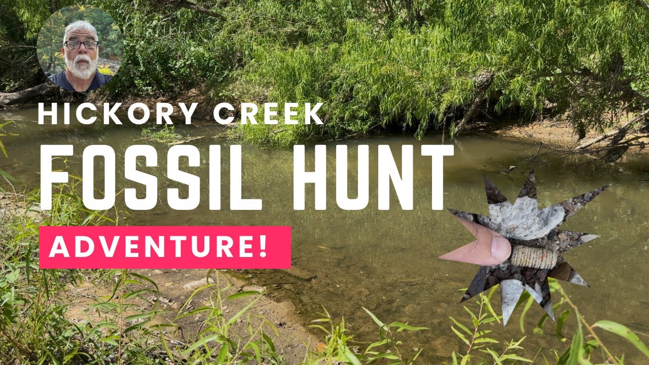 Oklahoma Fossil Hunt: What I Found Under This Remote Creek Bridge Will Surprise You