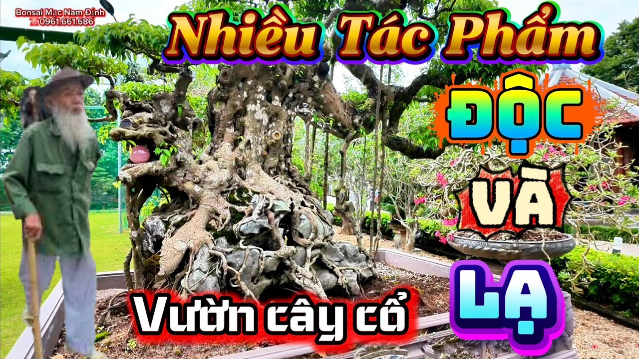 Bất Ngờ  Vườn cây cổ rất vip chưa 1 lần lên sóng