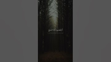 أَمْ أَبْرَمُوٓا۟ أَمْرًۭا فَإِنَّا مُبْرِمُونَ | محمد صديق المنشاوي | سورة الزخرف
