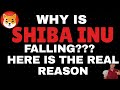 SHIBA INU COIN PREDICTION & WHY IS SHIBA INU COIN DROPPING & MAJOR SHIBA INU NEWS TODAY - SHIB PRICE