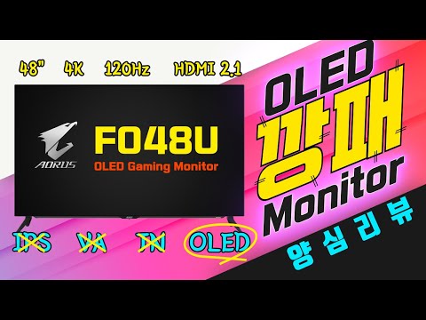 <strong>AORUS</strong> FO48U 양심 리뷰