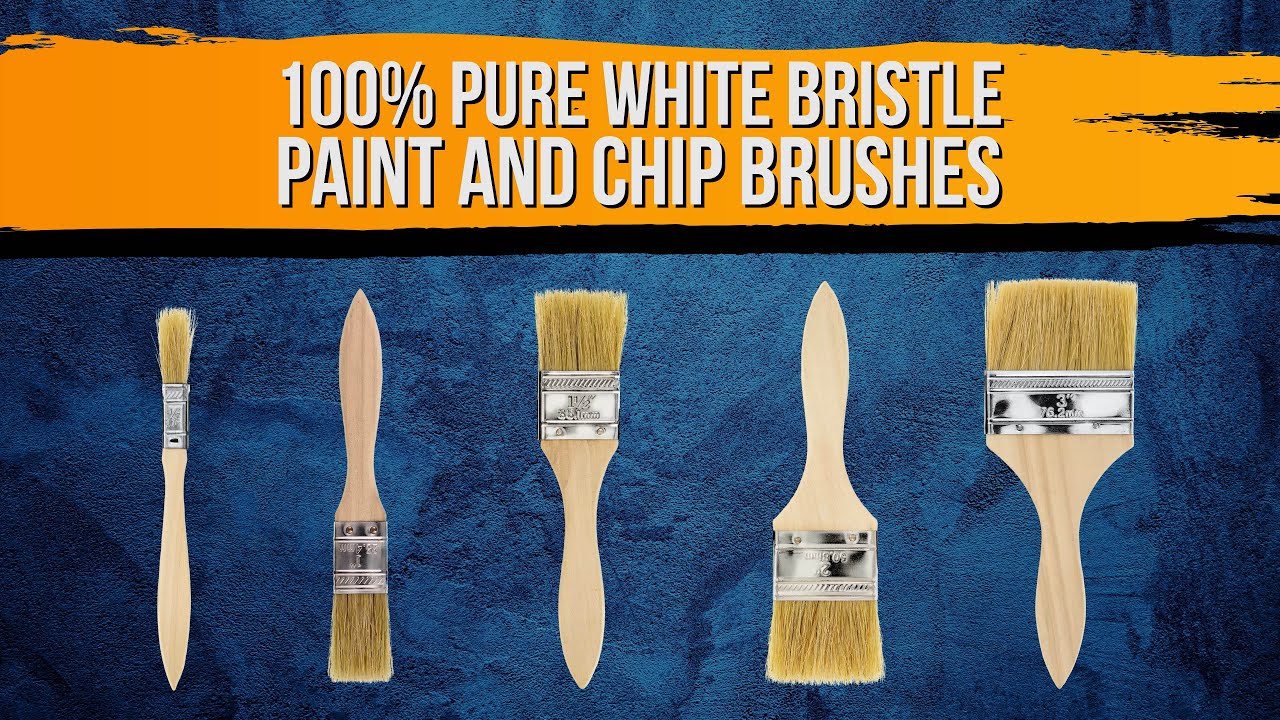 U.S. Art Supply Pure White Bristle and Chip Paint Brushes YouTube