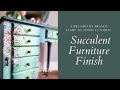 Succulent Furniture Finish