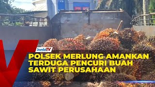 MERLUNG POLICE SECURITY SECURES SUSPECTED PALM OIL FRUIT THEFT COMPANY