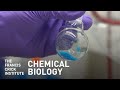 What is Chemical Biology?