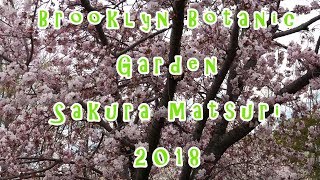 🌸 Sakura Matsuri 2018 at the Brooklyn Botanic Garden Compilation (Cosplays, Taiko Drums, Flowers!)