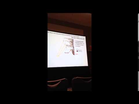 video phone beyonce mp3 Onstein: Functional traits, biomes, and diversification rates in Rhamnaceae