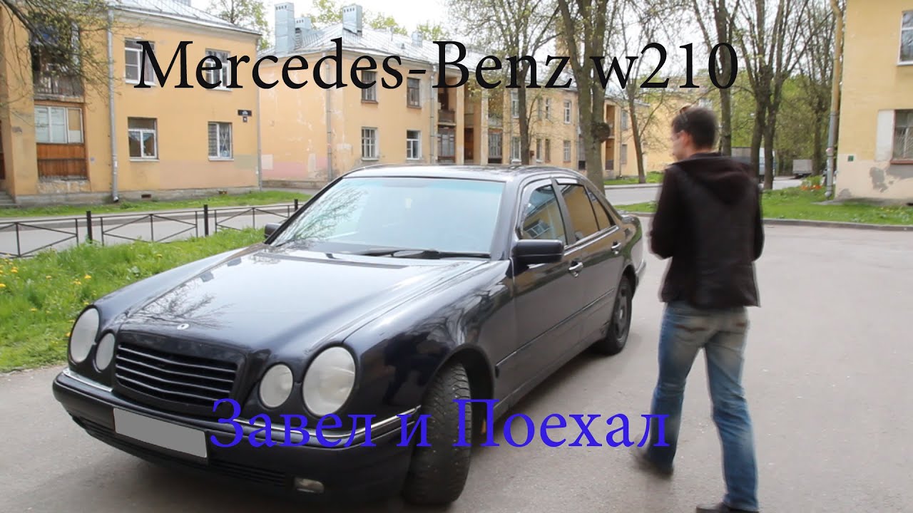 Зенон Волга
